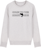 Pull Homme Come To The Shark Side - Gris clair chiné