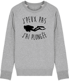 Pull Homme J'peux pas j'ai plongée - Gris chiné