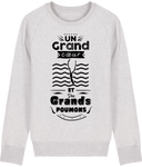 Pull Homme Un grand cœur et des grands poumons - Gris clair chiné