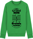 Pull Homme Un grand cœur et des grands poumons - Vert