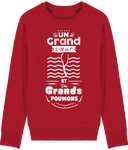 Pull Homme Un grand cœur et des grands poumons - Rouge