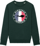 Pull Homme Plongeur Français - Vert sapin chiné