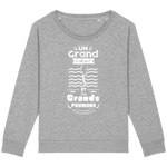 Pull Femme Un grand cœur et des grands poumons - Gris chiné